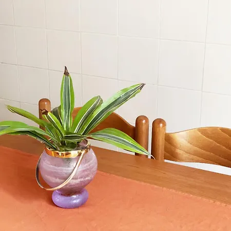 Tipico - Rione Xxii Apartman